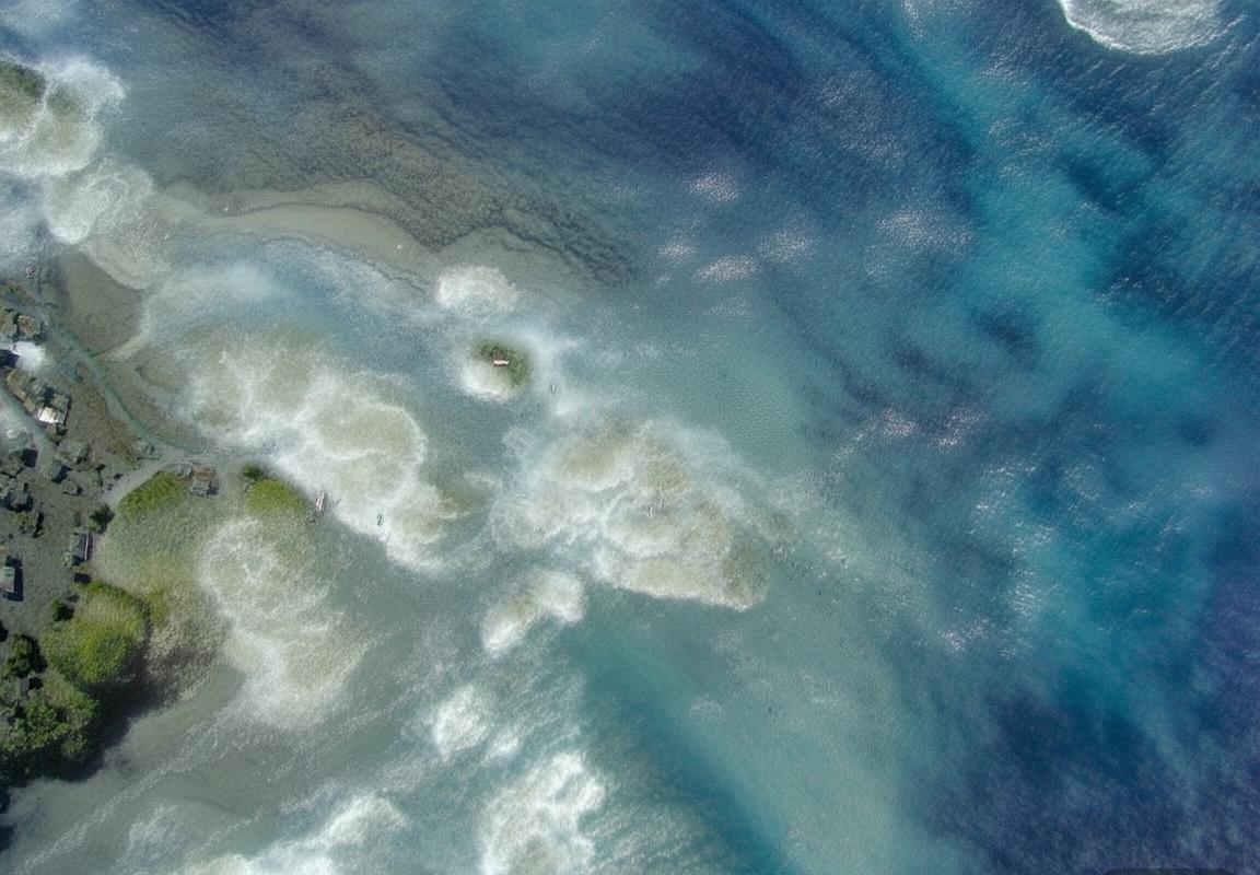 阿根廷VS委内瑞拉：激情对决、战术解析及梅西关键瞬间回顾(图2)